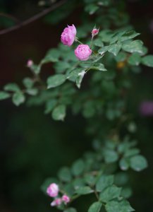 冷暖自知表达什么意思 冷暖自知是想告诉我们什么道理