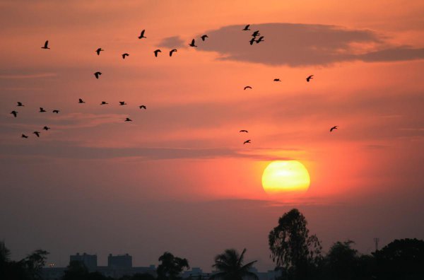 9点到10点是什么时辰