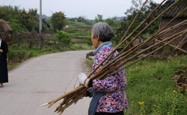 建档立卡和低保户的区别