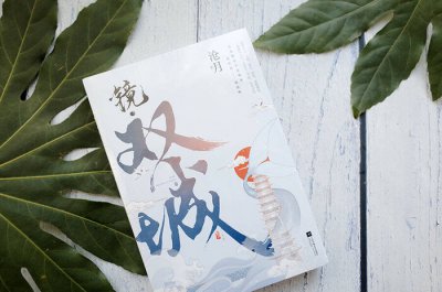 镜双城小说的男女主角是谁 小说镜双城主要讲了什么