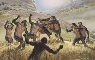 动物知道人类那么强大吗 为什么一些猛兽也会怕人类