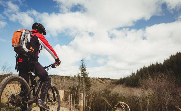 自行车一天可以骑多少公里