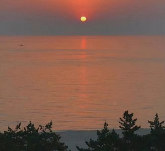 什么是爱国情怀 在当代强烈爱国情怀应当如何体现