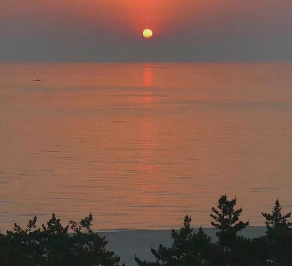 什么是爱国情怀