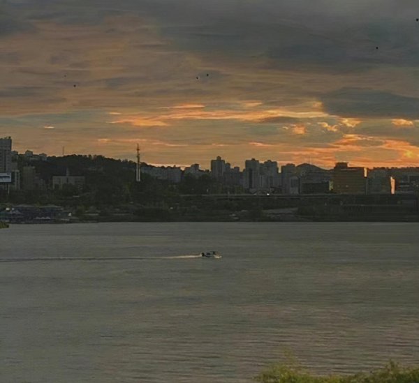 什么是爱国情怀