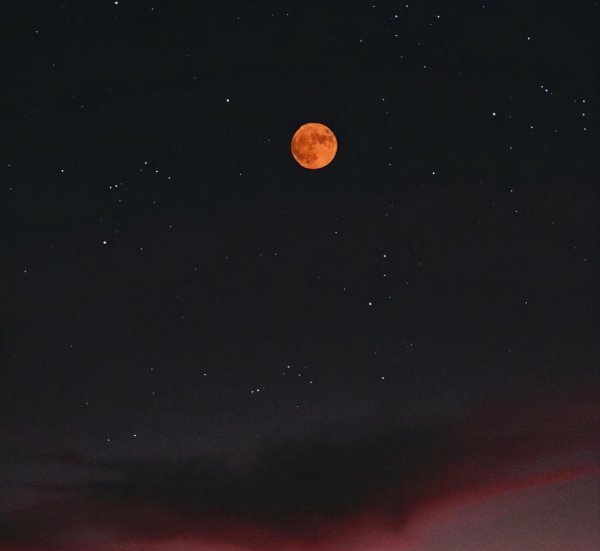 什么是爱国情怀