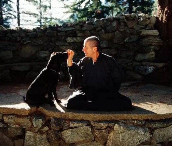 莱昂纳德科恩最经典的歌曲