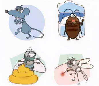 蟑螂打死会有虫卵吗 为什么拍死蟑螂后会留下虫卵