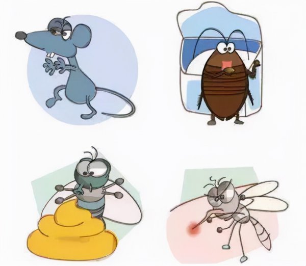 蟑螂打死会有虫卵吗