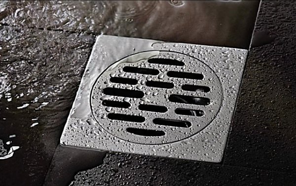 蟑螂打死会有虫卵吗