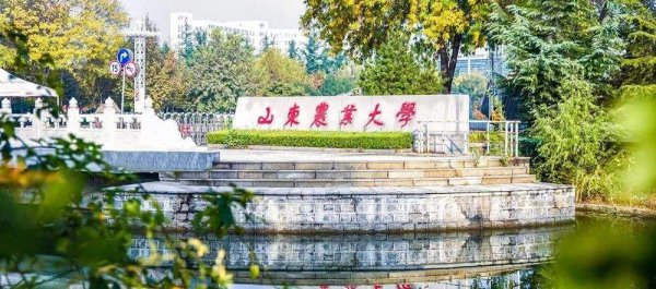 泰安属于哪个省哪个市