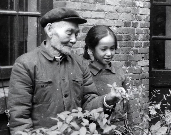 蒋雯丽个人简历