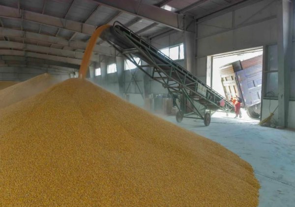 萨尔瓦多阿连德是谁