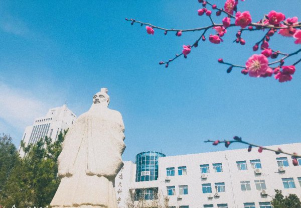 山东大学占地面积