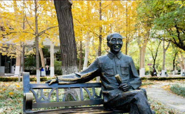 山东大学占地面积