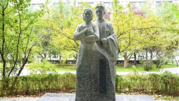 山东大学占地面积