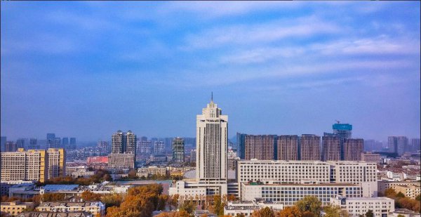 山东大学占地面积