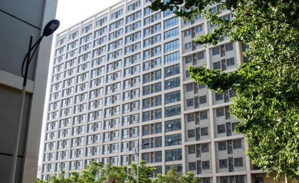 山东大学占地面积