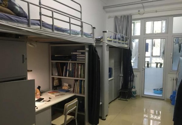 山东大学占地面积