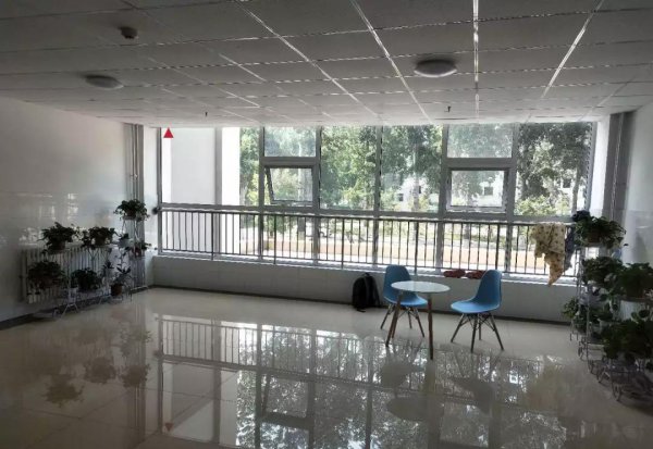 山东大学占地面积