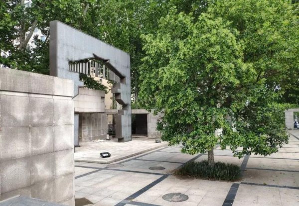 山东大学占地面积