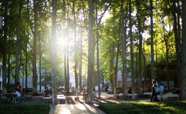 山东大学占地面积