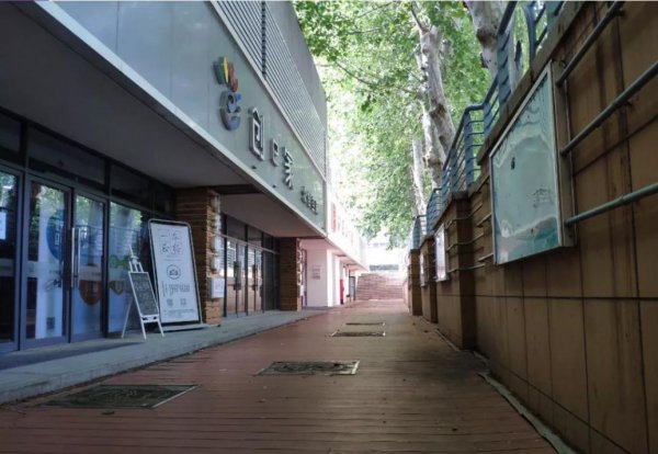 山东大学占地面积