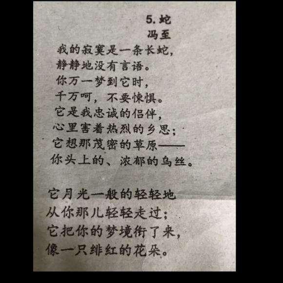 冯至简介及作品