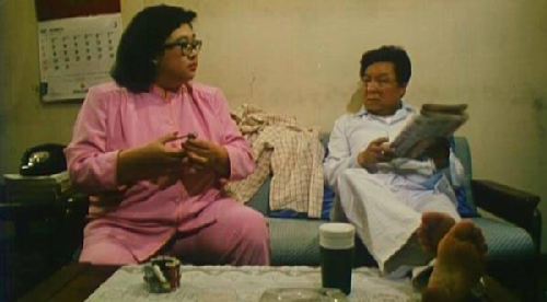 香港演员沈殿霞个人资料