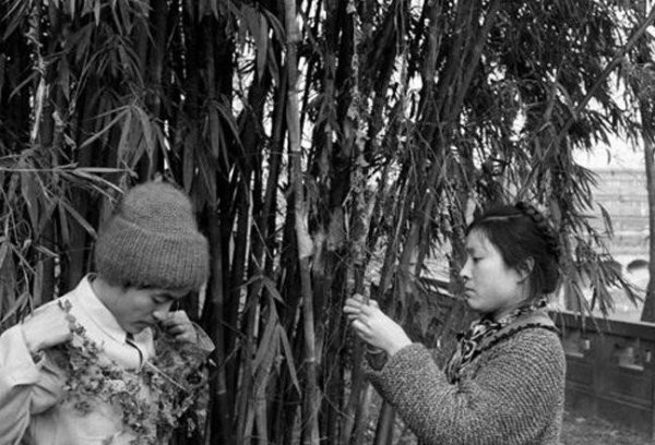 顾城最经典的十首短诗