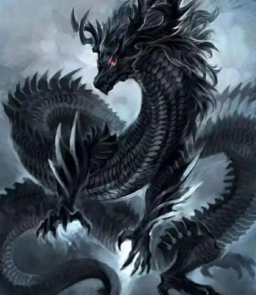 沙悟净是什么生肖