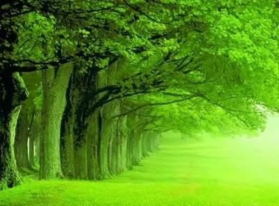 老中青年龄最新划分 新老中青的年龄界定段是怎么算的