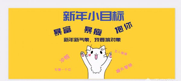 小猫一天喂几次猫粮