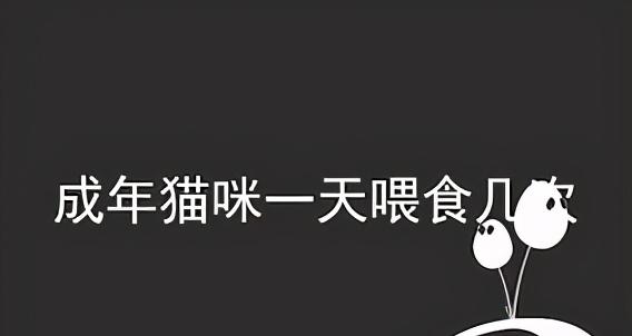 小猫一天喂几次猫粮