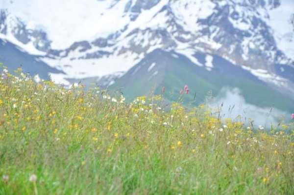 格鲁吉亚中国人多吗