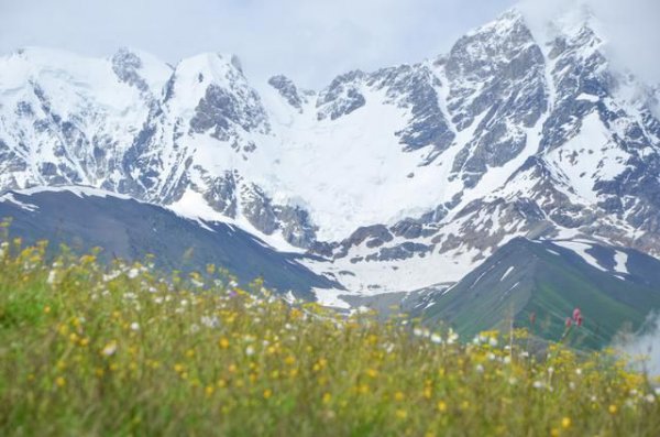 格鲁吉亚中国人多吗