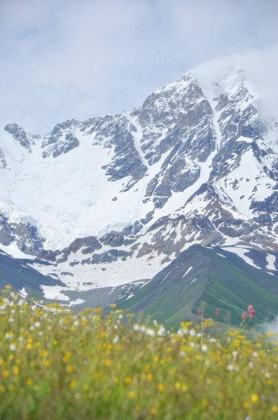 格鲁吉亚中国人多吗