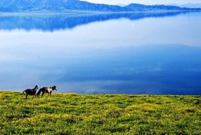 我国新疆的简称是什么意思 新疆的全称和简称分别是什么
