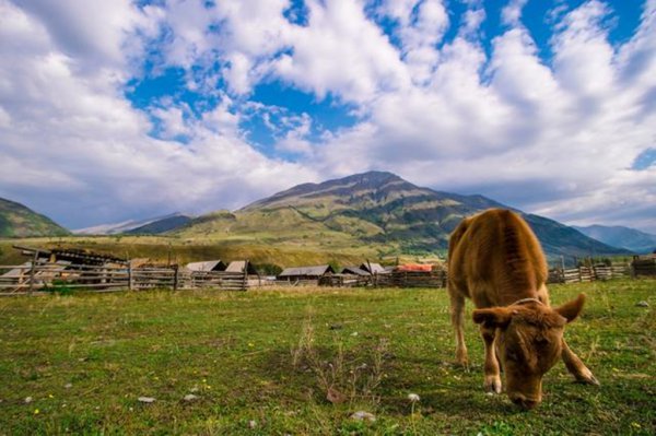 我国新疆的简称是什么意思