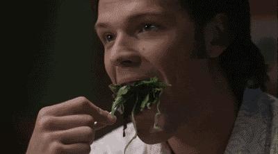 佛骨舍利是什么东西