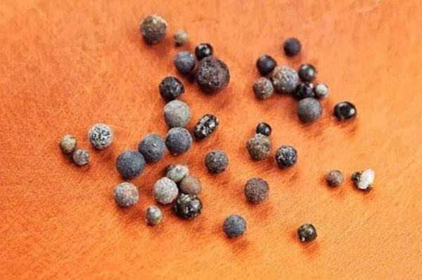 佛骨舍利是什么东西