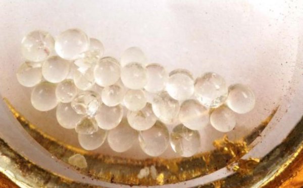 佛骨舍利是什么东西