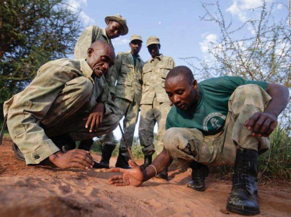 黑人是不是都比较强大
