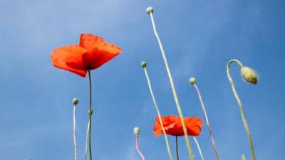 人生最高境界8个字是什么意思 想开、看淡、舍得、放下