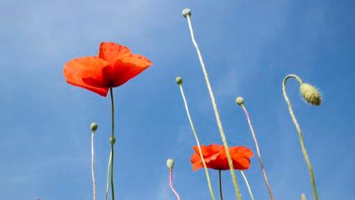 人生最高境界8个字是什么意思