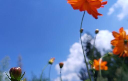 人生最高境界8个字是什么意思