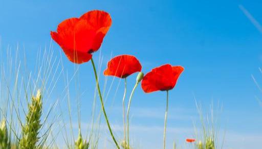 人生最高境界8个字是什么意思