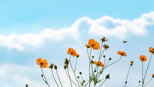 人生最高境界8个字是什么意思