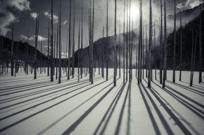 李白和杜甫是好朋友吗 李白与杜甫之间的真实关系判断