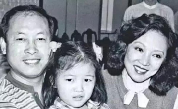 演员岳华个人资料简介